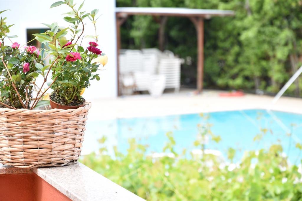 Hotel Ariadimari Valledoria  Εξωτερικό φωτογραφία
